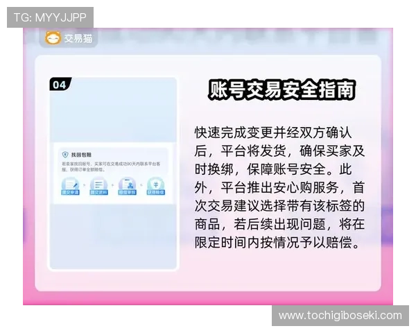 九游版官网入口官方入口安全指南，避免假冒网站保障账号安全的实用技巧