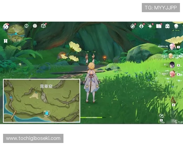 九游登录入口手机版登录流程详解，助你顺利开启精彩游戏之旅